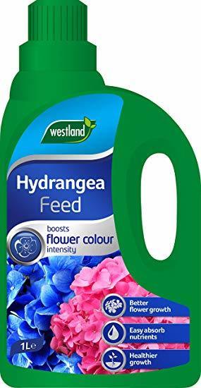 Hydrangea Feed 1L RTU Large ea3ea2b3 4275 43d3 8f67 d1f0f2593a77