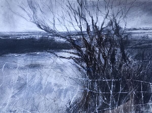 Large somerset hedgerow