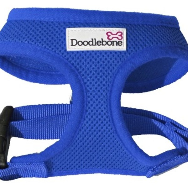 Doodlebone Harness Royal Blue Small Large doodleboneblue