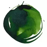 Small lqxacrylicinksapgreenpermanent swatch 960x960 crop center