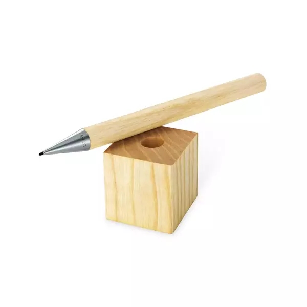 Large stand up beech