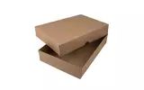 Small bx40 hairy manilla 1 png