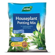 Westland Houseplant Mix 8L Large c301e528 3db2 4460 8250 898bc6de0b43