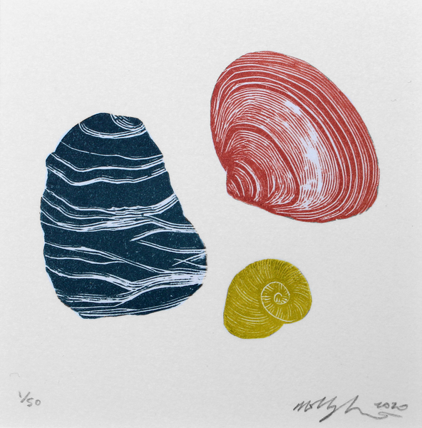 Molly Lemon - Seashells Mini Mounted Wood Engraving Large seashells mini molly lemon 3