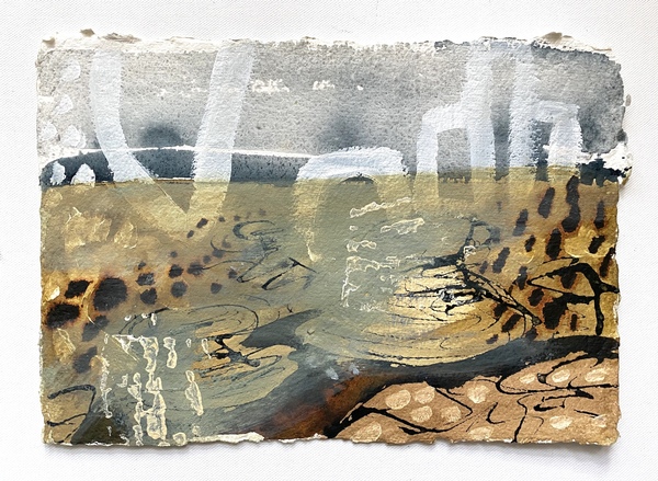 Large georgina king   threshold ii