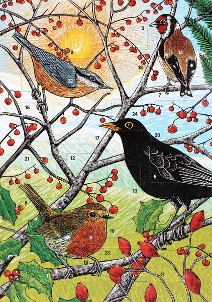 Molly Lemon Advent Calendar Card Large british birds advent calendar greetings card molly lemon 3