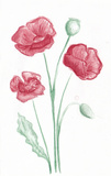 Small flic doodles poppies