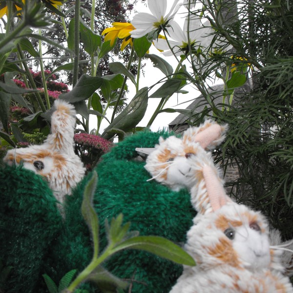 Hide-Away Puppets Rabbit Hill Large fun junction toy shop crieff perth perthshire scotland puppet company co hide away puppet forest forrest creatures animals finger puppets rabbits in hideaway hill 2