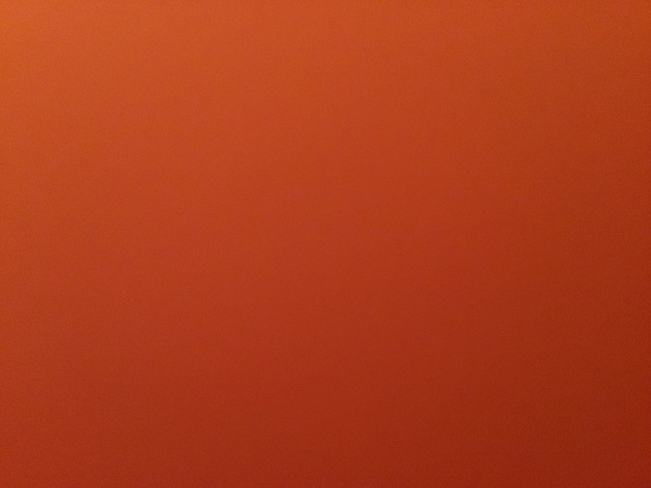 Large image