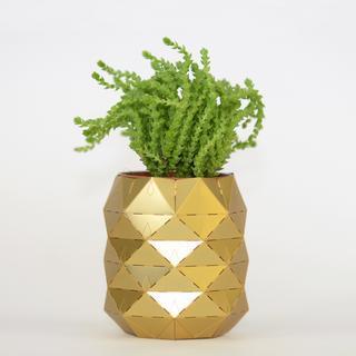 Pineapple Pots - with mini plant Large 2.pineapple succulent pot 1500