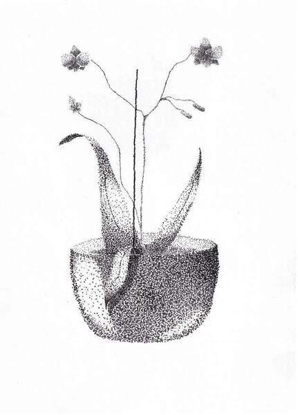 Large flic doodles pointilist orchids