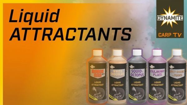 Dynamite Liquid Attractant - 500ml Large maxresdefault 3 2 1 1 1