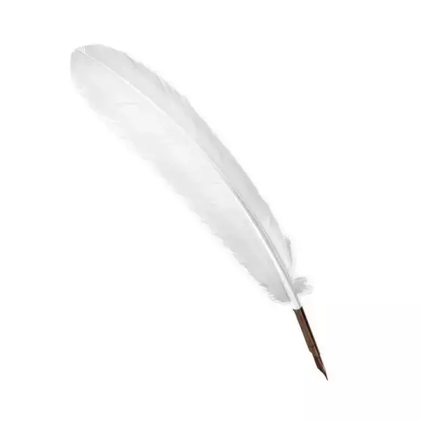 Large quill ivory