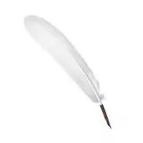 Small quill ivory