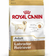 RC 3kg Lab/Retriever Large 2754fd0e 756b 4a6c be07 604ce09bc26b