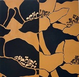 Small kate clements jpeg 1