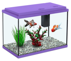 Image result for nano fish tank
