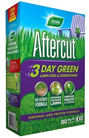 Aftercut 3 Day Green 100m Large 68292dd4 833b 4cf1 9875 27bac15f69bf