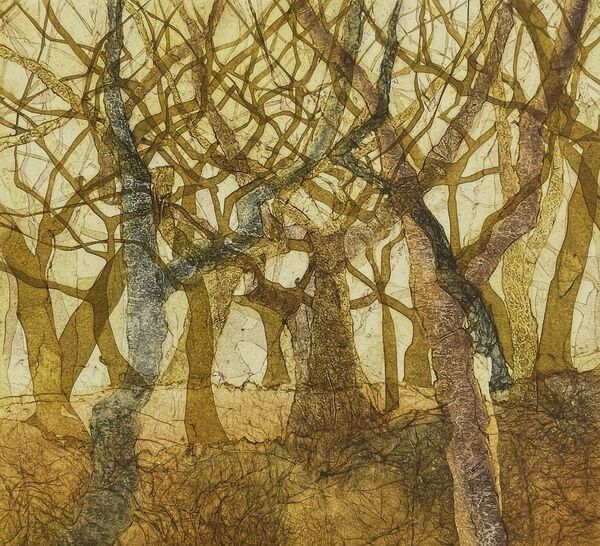 Large 3000c320444e08ada3a6