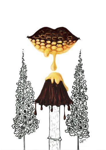 Print 550 Charlie Maxwell (A) Large print 550