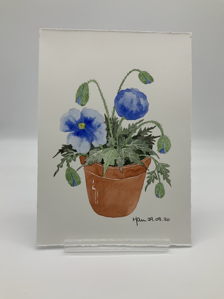 Painting 5211 A5 Water colour Maurice Shannon Large 777fb9bb db6c 4c3b a367 adfc112a8780