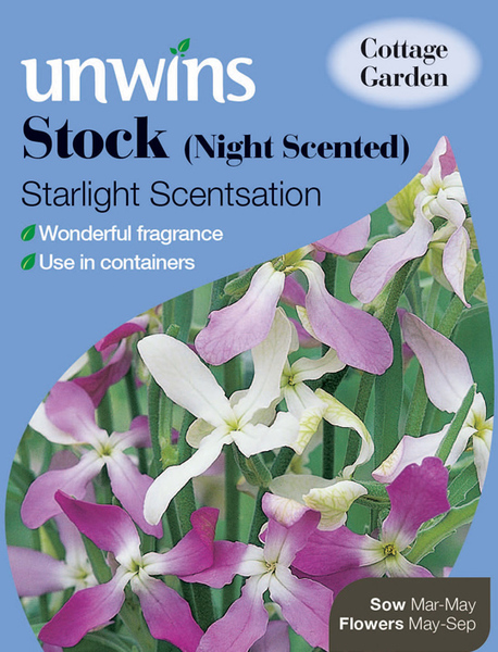Stock Night Scented Starlight Large 11
