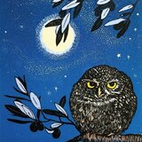 Small little owl