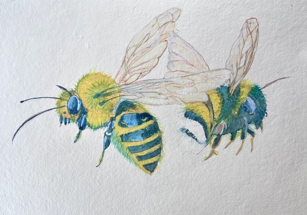 Large 20c1bce76f63a5e8