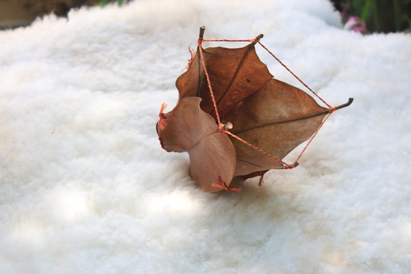 Large kara chambers 5